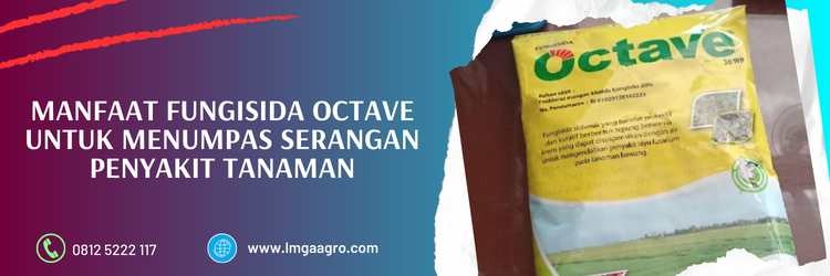 Jual Fungisida Octave Harga Terjangkau Berkualitas Unggulan | LMGA AGRO octave fungisida, manfaat fungisida, bahan aktif fungisida octave, fungisida bahan aktif prokloraz, kegunaan fungisida