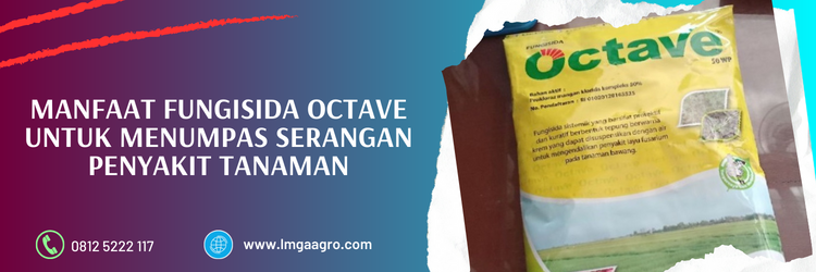 octave fungisida, manfaat fungisida, bahan aktif fungisida octave, fungisida bahan aktif prokloraz, kegunaan fungisida