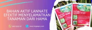 fungsi lannate merah, pestisida lannate, cara pemakaian dupont lannate 25 wp, lannate insektisida, bahan aktif metomil