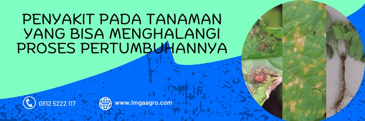 Jual Fungisida Previcur Berharga Terjangkau Kualitas Unggulan | LMGA AGRO previcur, kegunaan previcur, previcur fungisida, bahan aktif fungisida dan fungsinya, previcur n