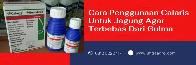 Jual Herbisida Calaris Untuk Jagung Kualitas Terbaik Harga Murah | LMGA AGRO calaris herbisida, herbisida untuk jagung, dosis calaris per tangki, calaris jagung, herbisida selektif untuk jagung