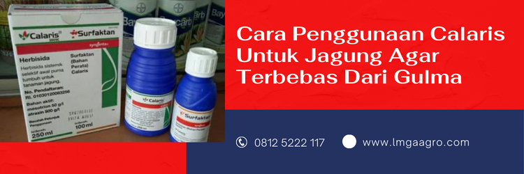 calaris herbisida, herbisida untuk jagung, dosis calaris per tangki, calaris jagung, herbisida selektif untuk jagung