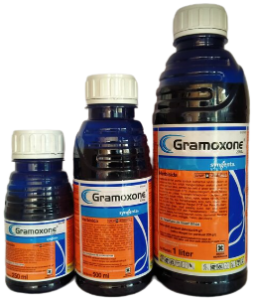 Gramoxone, Gramoxone 297 SL, Herbisida Gramoxone, Herbisida Gramoxone 297 SL, Racun Gramoxone, Racun Gramoxone 297 SL, Herbisida Gramoxone 297 SL, Gramoxone 297 SL Murah, Gramoxone 297 SL Terbaik, Jual Herbisida Gramoxone 297 SL, Jual Gramoxone 297 SL Terbaru, Syngenta, Syngenta Indonesia, Belanja Tani