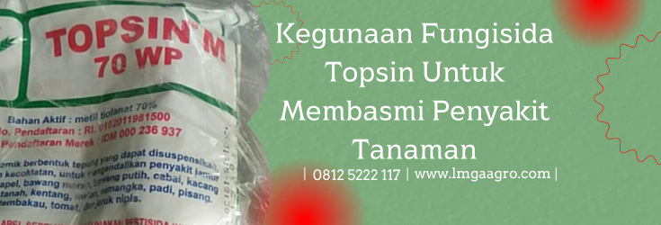 topsin fungisida, topsin, waktu aplikasi fungisida topsin, bahan aktif fungisida topsin, dosis topsin per tangki