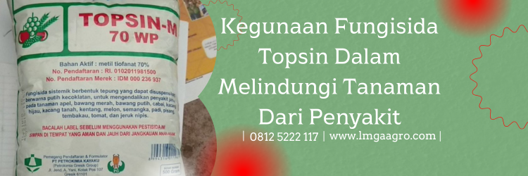 topsin fungisida, topsin, waktu aplikasi fungisida topsin, bahan aktif fungisida topsin, dosis topsin per tangki