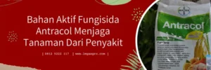 fungisida antracol, bahan aktif antracol, fungsi antracol, cara penggunaan antracol, antracol bahan aktif