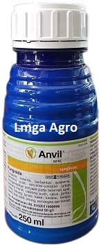 Anvil. Fungisida Anvil, Anvil 50 SC, Syngenta, Syngenta Indonesia, PT Syngenta Indonesia, Produk Sygenta, Lmga Agro, Toko Pertanian