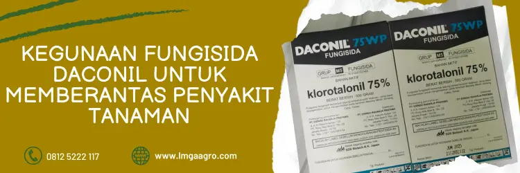 daconil, daconil fungisida, manfaat fungisida berbahan aktif klorotalonil, bahan aktif daconil, manfaat fungisida daconil