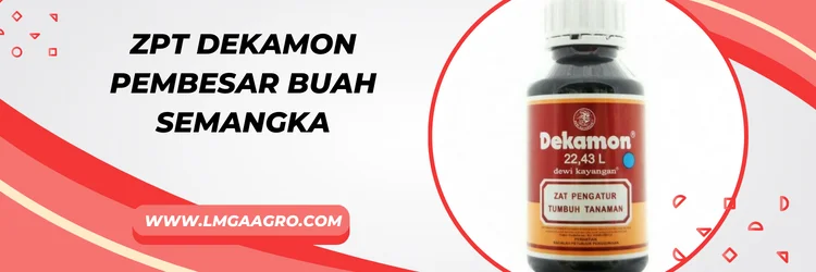 Zpt pembesar buah semangka, Toko pertanian online, toko pertanian terdekat, toko pertanian, Lmga Agro, kios pertanian terdekat