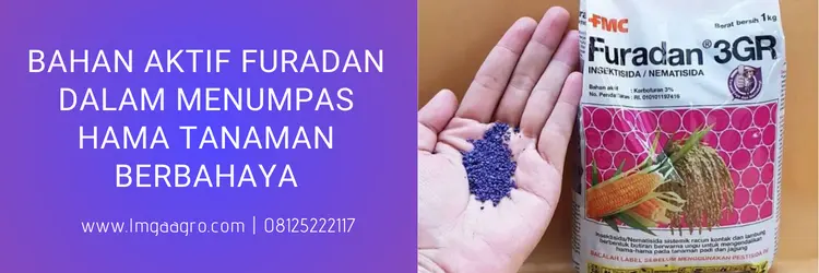 furadan, harga furadan, bahan aktif insektisida furadan, bahan aktif karbofuran, lmga agro