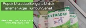 ultradap, harga ultradap, kandungan pupuk ultradap, dosis ultradap, LMGA AGRO