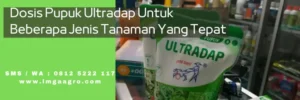 ultradap, harga ultradap, kandungan pupuk ultradap, dosis ultradap, LMGA AGRO