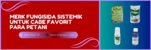fungisida sistemik untuk cabai, fungisida sistemik terbaik, fungisida sistemik untuk cabe, fungisida untuk cabe, fungisida terbaik untuk cabe
