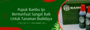 bambu ijo, zpt bambu ijo, pupuk daun, pupuk penyubur daun, LMGA AGRO