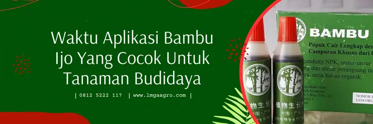 bambu ijo, zpt bambu ijo, pupuk daun, pupuk penyubur daun, LMGA AGRO