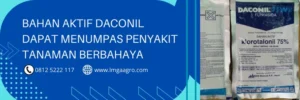 daconil fungisida, kegunaan fungisida daconil, fungisida berbahan aktif klorotalonil, bahan aktif klorotalonil, LMGA AGRO