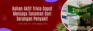 trivia bayer, keunggulan fungisida trivia, trivia fungisida, bahan aktif fungisida trivia, LMGA AGRO