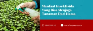 virtako, virtako insektisida, insektisida bahan aktif klorantraniliprol, dosis virtako per tangki, LMGA AGRO