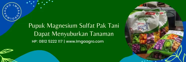 magnesium sulfat pak tani, fungsi pupuk magnesium sulfat, magnesium sulfat untuk tanaman, fungsi magnesium sulfat pak tani, LMGA AGRO