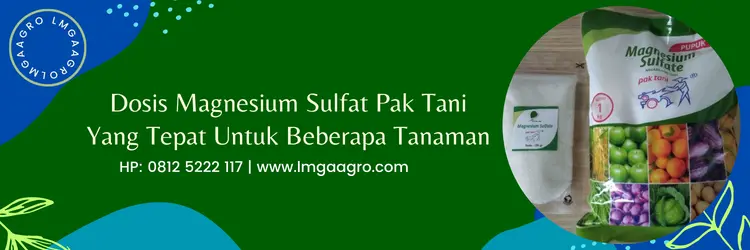 magnesium sulfat pak tani, fungsi pupuk magnesium sulfat, magnesium sulfat untuk tanaman, fungsi magnesium sulfat pak tani, LMGA AGRO