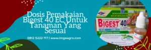 dosis bigest per tangki, biggest zpt, bigest 40 ec untuk padi, zpt terbaik, LMGA AGRO
