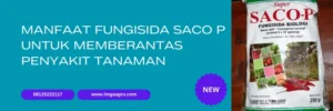 fungisida saco p, saco p, manfaat saco p, fungisida trichoderma, LMGA AGRO