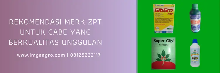 zpt terbaik untuk cabe, zpt untuk cabe, merk zpt di pasaran, merek dagang zpt untuk cabe, LMGA AGRO