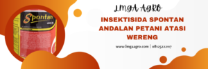 Insektisida bahan aktif dimehipo, tanam padi, padi, contoh hama, racun hama, lmga agro