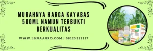 Macam macam herbisida, herbisida sistemik, gulma, herbisida sistemik, harga kayabas 500ml, LMGA Agro