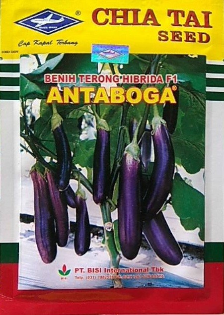 Terong Antoga, Terong Antaboga F1, Antaboga F1, Benih Terong Antaboga, Terong Antaboga Murah, Terong Antaboga Terbaru, Terong Antaboga Terbaik, Harga Murah, Terbaru, Terbaik, Bisi, Chia Tai Seed, Cap Kapal Terbang