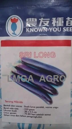 Terong Sri Long, Terong Sri Long Murah, Terong Sri Long, Cara Menanam Terong Sri Long, Tanaman Terong Sri Long, Terong Sri Long Hibrida, Terong Sri Long Terbaik, Beli Terong Sri Long, Jual Terong Sri Long, Jual Terong Sri Long Terbaik, Jual Terong Sri Long Terbaru, Benih Terong Sri Long Murah, Known You Seed