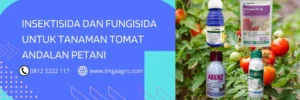 insektisida terbaik untuk tomat, fungisida untuk tomat, insektisida untuk tanaman tomat, fungisida untuk tanaman tomat, LMGA AGRO