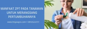 zpt terbaik, merk zpt, merk zpt terbaik, zpt yang paling bagus, LMGA AGRO