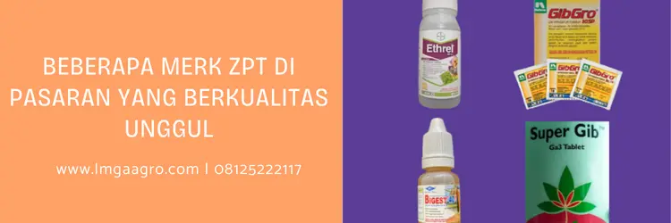 Jual Merk ZPT Di Pasaran Kualitas Unggulan Harga Murah zpt terbaik, merk zpt, merk zpt terbaik, zpt yang paling bagus, LMGA AGRO