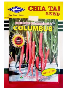 Cabe Columbus, Cabai Columbus, Jual Cabe Columbus, Beli Cabe Columbus, Cabe Columbus Terbaru, Cabe Columbus Terbaik, Cabe Merah Columbus, Cabai F1 Columbus, Cara Menanam Cabe Columbus, Tanaman Cabe Columbus, Tanam Cabe Columbus, Budidaya Cabe Columbus, Pohon Cabe Columbus, Cabe Columbus Anti Virus, Cabe Columbus Tahan Virus, Belanja Tani, Jual Cabai Columbus, Beli Cabai Columbus, Bisi, Cap Kapal Terbang, Chia Tai Seed, Manfaat Cabe, Khasiat Cabe, Harga Cabai Hari Ini