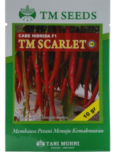 Cabe TM Scarlet, Cabe F1 TM Scarlet, TM Scarlet F1 Tani Murni, Jual Bibit TM Scarlet, Beli Benih F1 TM Scarlet, Cabe Merah TM Scarlet, Buah Cabe TM Scarlet, Tani Murni Indonesia, TM Seeds