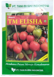 Tomat TM Elisha, TM Elisha, Benih Tomat TM Elisha, Bibit Tomat Benih Tomat TM Elisha, Tanaman Tomat Benih Tomat TM Elisha, Buah Tomat Benih Tomat TM Elisha, Tomat Anti Virus, TM Elisha Murah, Tani Murni, Belanja Tani