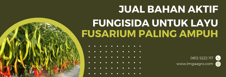 Budidaya tanaman, fungisida adalah, fungisida sistemik terbaik, bahan aktif fungisida untuk layu fusarium, penyakit pada tanaman, LMGA AGRO