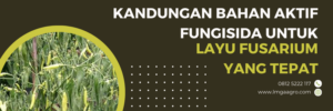 Budidaya tanaman, fungisida adalah, fungisida sistemik terbaik, bahan aktif fungisida untuk layu fusarium, penyakit pada tanaman, LMGA AGRO