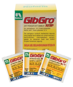 Gibgro, ZPT Gibgro, Gibgro 10 SP, Asam Giberelat, Giberelin, GA3, Hormon Gibgro, Manfaat Gibgro 10 SP, Cara Pemakaian Gibgro 10 SP, ZPT Terbaik Untuk Padi, ZPT Adalah, Nufarm, PT Nufarm, PT Nufarm Indonesia, Produk Nufarm