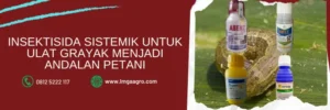 insektisida sistemik untuk ulat, bahan aktif insektisida untuk ulat grayak, pestisida untuk ulat grayaka, insektisida untuk ulat grayak, LMGA AGRO