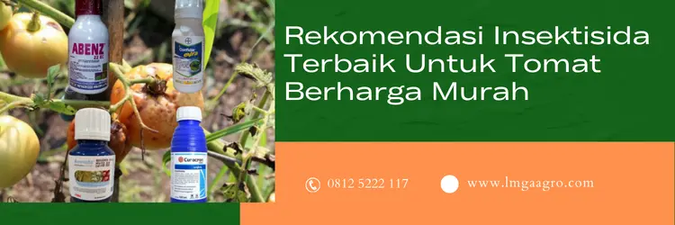 insektisida untuk tomat, insektisida untuk tanaman tomat, insektisida terbaik, hama tomat, LMGA AGRO