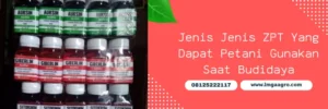 zpt untuk cabe, merk zpt untuk cabe, merek dagang zpt untuk cabe, pupuk zpt untuk cabe, LMGA AGRO