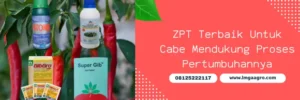 zpt untuk cabe, merk zpt untuk cabe, merek dagang zpt untuk cabe, pupuk zpt untuk cabe, LMGA AGRO