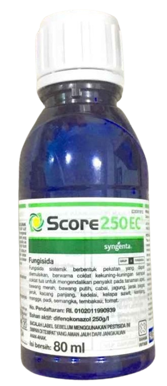 Fungisida Score, Fungisida Score 250 EC, Jual Fungisida Score, Fungisida Sistemik Fungisida Score, Manfaat Fungisida Score, Harga Fungisida Score, Syngenta, Syngenta Indonesia