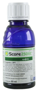 Fungisida Score, Fungisida Score 250 EC, Jual Fungisida Score, Fungisida Sistemik Fungisida Score, Manfaat Fungisida Score, Harga Fungisida Score, Syngenta, Syngenta Indonesia