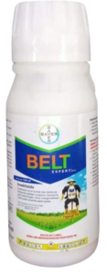 Belt Expert, Insektisida Belt Expert, Pestisida Belt Expert, Belt Expert 480 SC, Kegunaan Belt Expert, Bayer, Bayer Indonesia, Hama, Obat Sundep, Obat Beluk, Lmga Agro