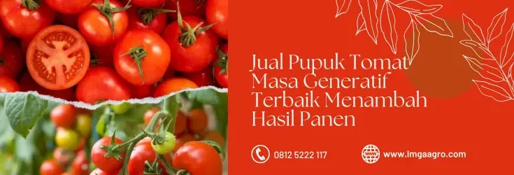 pupuk organik, jenis pupuk, buah tomat, pupuk tomat fase generatif, fungsi pupuk, LMGA AGRO