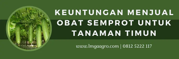 Pestisida untuk timun, tanam timun, pohon timun, budidaya timun, obat semprot untuk tanaman timun, LMGA AGRO