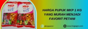 harga mkp pak tani, harga mkp pak tani 1kg, harga pupuk mkp 1kg, harga pupuk mkp pak tani, Lmga Agro